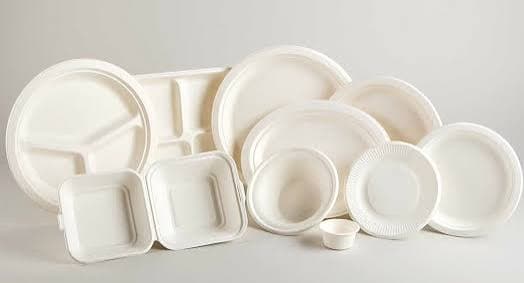 Bagasse disposable plates and bowls